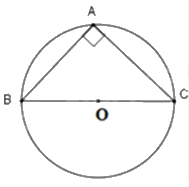 Giải câu hỏi trắc nghiệm trang 97, 98 vở thực hành Toán 9 1