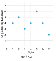 Giải câu hỏi trang 4 SGK Toán 8 - Cùng khám phá 4