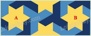 Giải khởi động trang 10 Chuyên đề học tập Toán 11 - Chân trời sáng tạo 1