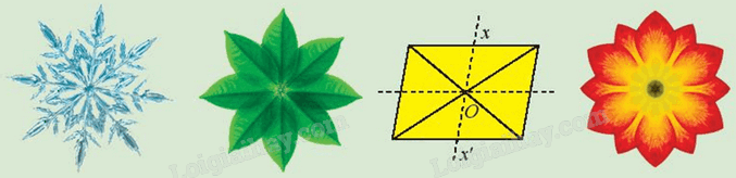 Giải khởi động trang 20 Chuyên đề học tập Toán 11 - Chân trời sáng tạo 1