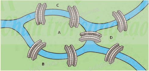 Giải khởi động trang 49 Chuyên đề học tập Toán 11 - Chân trời sáng tạo 1