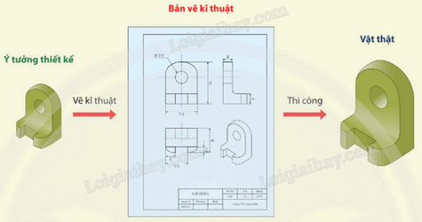 Giải khởi động trang 81 Chuyên đề học tập Toán 11 - Chân trời sáng tạo 1