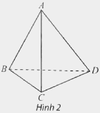 Giải mục 1 trang 100, 101, 102 SGK Toán 11 tập 1 - Chân trời sáng tạo 2