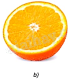 Giải mục 1 trang 102 SGK Toán 9 tập 2 - Kết nối tri thức 3 1