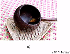 Giải mục 1 trang 102 SGK Toán 9 tập 2 - Kết nối tri thức 5