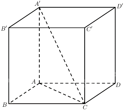 Giải mục 1 trang 107, 108 SGK Toán 11 tập 2 - Cánh Diều 1