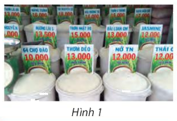 Giải mục 1 trang 11, 12 SGK Toán 10 tập 2 - Chân trời sáng tạo 2