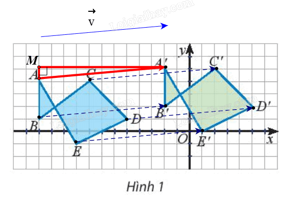 Giải mục 1 trang 11 Chuyên đề học tập Toán 11 - Chân trời sáng tạo 1