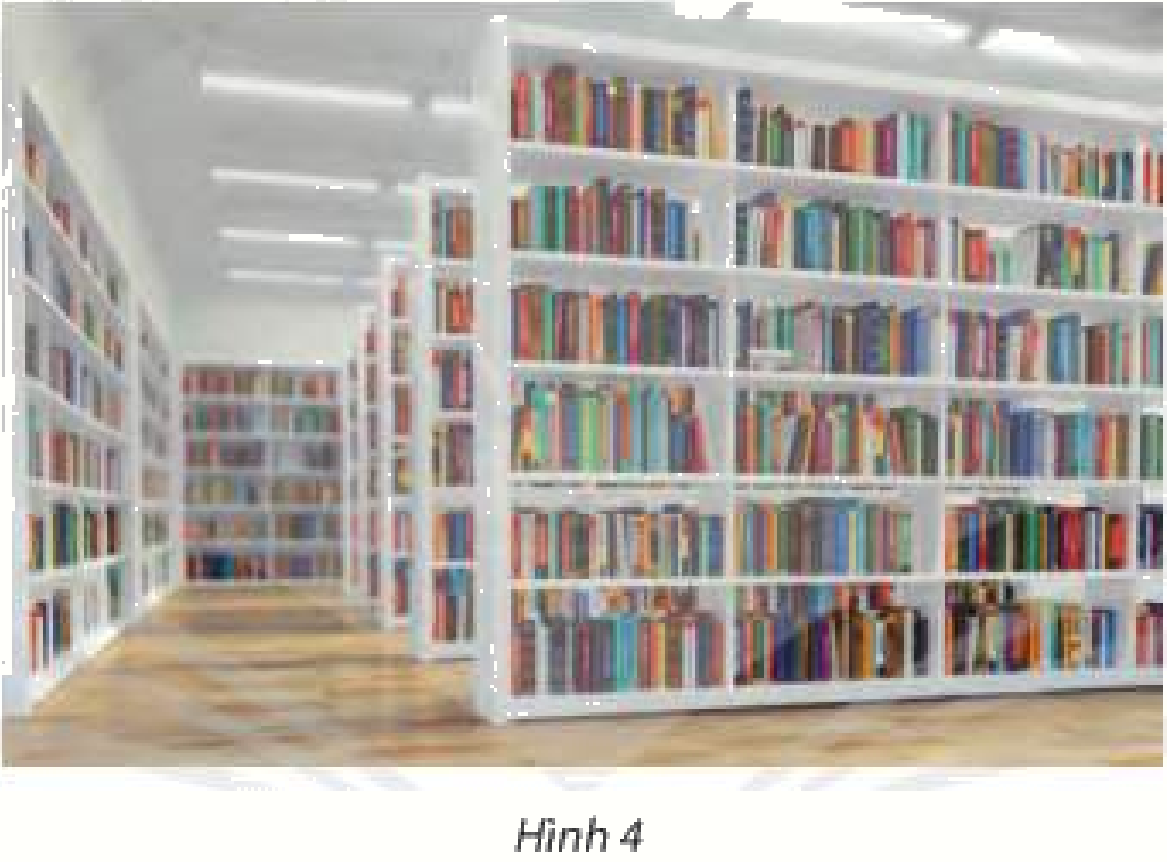 Giải mục 1 trang 113, 114 SGK Toán 11 tập 1 - Chân trời sáng tạo 1