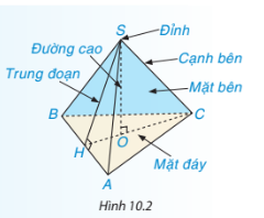 Giải mục 1 trang 113 SGK Toán 8 tập 2 - Kết nối tri thức 1