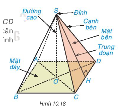 Giải mục 1 trang 117 SGK Toán 8 tập 2 - Kết nối tri thức 1