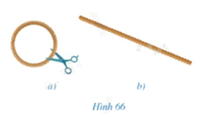 Giải mục 1 trang 118, 119 SGK Toán 9 tập 1 - Cánh diều 1