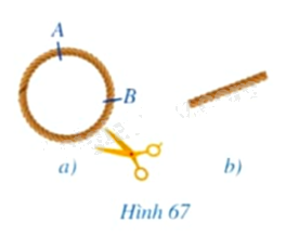 Giải mục 1 trang 118, 119 SGK Toán 9 tập 1 - Cánh diều 2