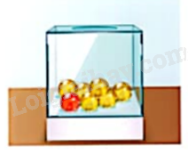 Giải mục 1 trang 121, 122 SGK Toán 9 tập 2 - Cùng khám phá 2