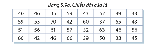 Giải mục 1 trang 131, 132,133 SGK Toán 11 tập 1 - Cùng khám phá 1