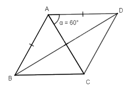 Giải mục 1 trang 16, 17 Chuyên đề học tập Toán 11 - Kết nối tri thức 2 2