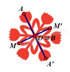 Giải mục 1 trang 20, 21 Chuyên đề học tập Toán 11 - Chân trời sáng tạo 2 2