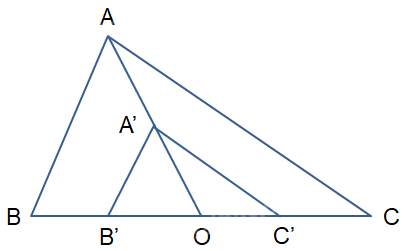 Giải mục 1 trang 26, 27, 28, 29, 30 Chuyên đề học tập Toán 11 - Cánh diều 2