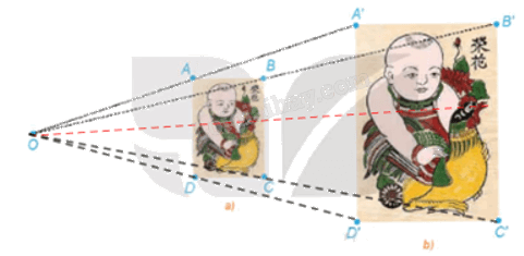 Giải mục 1 trang 26, 27 Chuyên đề học tập Toán 11 - Kết nối tri thức 3