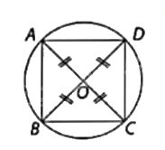 Giải mục 1 trang 35, 36, 37 SGK Toán 9 tập 2 - Cùng khám phá 3 1