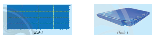 Giải mục 1 trang 36, 37 SGK Toán 8 tập 1 – Chân trời sáng tạo 0 1