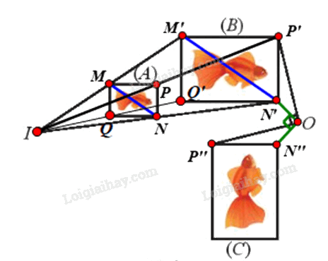 Giải mục 1 trang 38, 39 Chuyên đề học tập Toán 11 - Chân trời sáng tạo 3