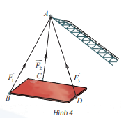 Giải mục 1 trang 41,42,43 SGK Toán 12 tập 1 - Chân trời sáng tạo 3