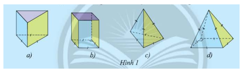 Giải mục 1 trang 43, 44 SGK Toán 8 tập 1– Chân trời sáng tạo 1
