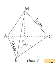 Giải mục 1 trang 43, 44 SGK Toán 8 tập 1– Chân trời sáng tạo 1 1