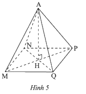 Giải mục 1 trang 43, 44 SGK Toán 8 tập 1– Chân trời sáng tạo 2 1