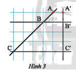 Giải mục 1 trang 44, 45 SGK Toán 8 tập 2– Chân trời sáng tạo 3