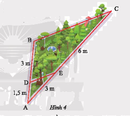 Giải mục 1 trang 44, 45 SGK Toán 8 tập 2– Chân trời sáng tạo 4