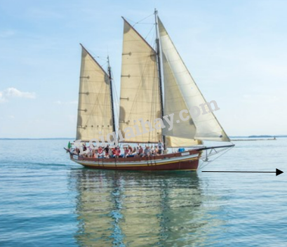 Giải mục 1 trang 46,47,48 SGK Toán 12 tập 1 - Kết nối tri thức 1 3