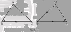Giải mục 1 trang 48, 49 SGK Toán 7 tập 2 - Chân trời sáng tạo 1 1