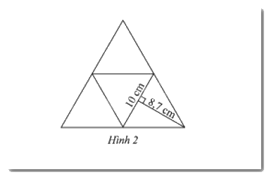 Giải mục 1 trang 49, 50 Sách giáo khoa Toán 8 tập 1 Chân trời sáng tạo 1 1