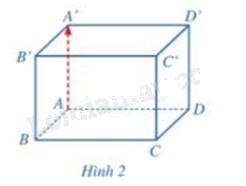 Giải mục 1 trang 50, 51, 52 SGK Toán 12 tập 2 - Cánh diều 1