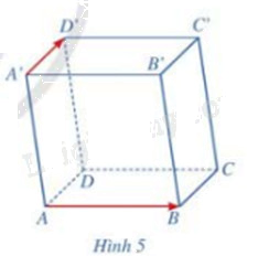 Giải mục 1 trang 50, 51, 52 SGK Toán 12 tập 2 - Cánh diều 3