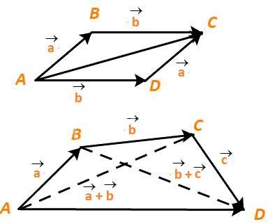 Giải mục 1 trang 51, 52 SGK Toán 10 tập 1 - Kết nối tri thức 3
