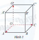 Giải mục 1 trang 52,53 SGK Toán 12 tập 1 - Chân trời sáng tạo 0 1