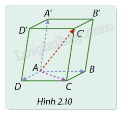 Giải mục 1 trang 55, 56, 57, 58 SGK Toán 12 tập 1 - Cùng khám phá 3 1