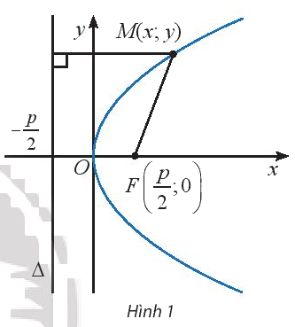 Giải mục 1 trang 56, 57, 58 Chuyên đề học tập Toán 10 - Chân trời sáng tạo 0 1