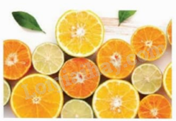 Giải mục 1 trang 6, 7, 8 SGK Toán 9 tập 1 - Kết nối tri thức 1