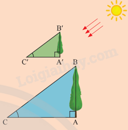 Giải mục 1 trang 60, 61, 62 SGK Toán 9 tập 1 - Chân trời sáng tạo 2 1