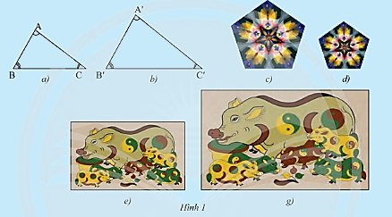 Giải mục 1 trang 62, 63 SGK Toán 8 tập 2– Chân trời sáng tạo 1