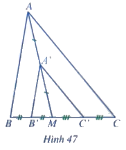 Giải mục 1 trang 71 SGK Toán 8 – Cánh diều 1