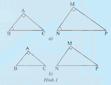 Giải mục 1 trang 73, 74 SGK Toán 8 tập 2– Chân trời sáng tạo 1