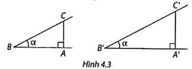 Giải mục 1 trang 75, 76 SGK Toán 9 tập 1 - Cùng khám phá 1