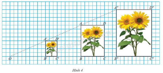 Giải mục 1 trang 77, 78 SGK Toán 8 tập 2– Chân trời sáng tạo 2 1