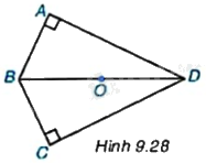 Giải mục 1 trang 80, 81, 82 SGK Toán 9 tập 2 - Kết nối tri thức 1