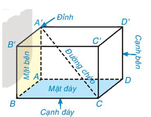 Giải mục 1 trang 86, 87 SGK Toán 7 tập 2 - Kết nối tri thức 2